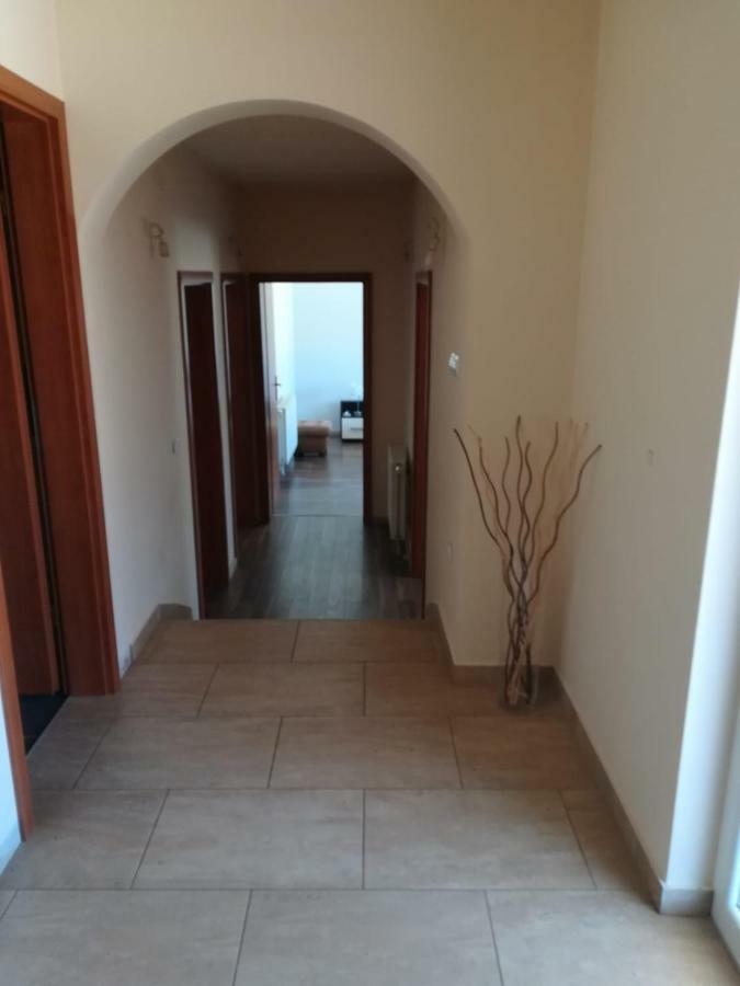 Ferienwohnung Laura Bibinje Exterior foto
